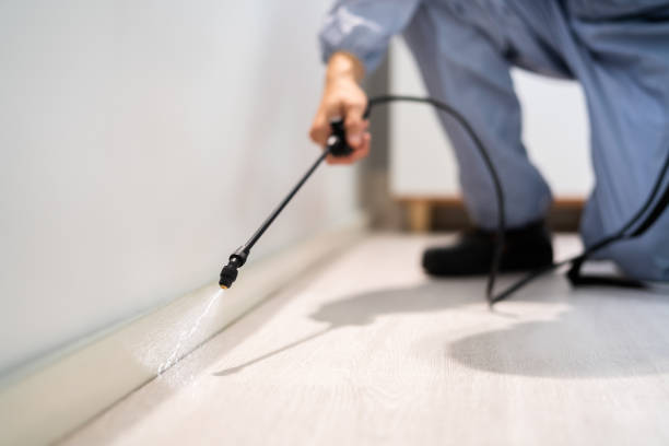 Bed Bug Pre-Treatment Preparation Assessment in Thoreau
