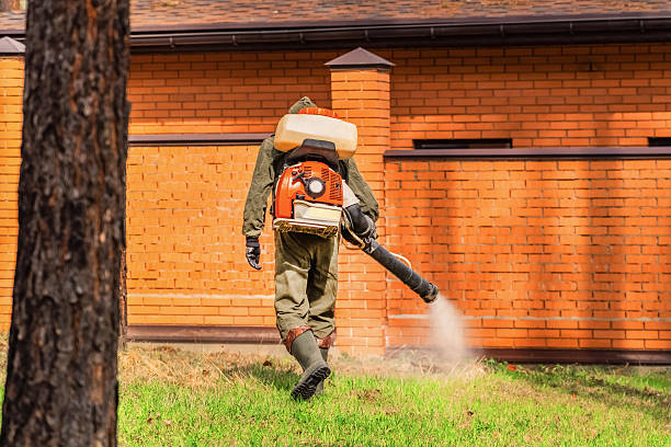 Bed Bug Clearance Verification and Documentation in Thoreau